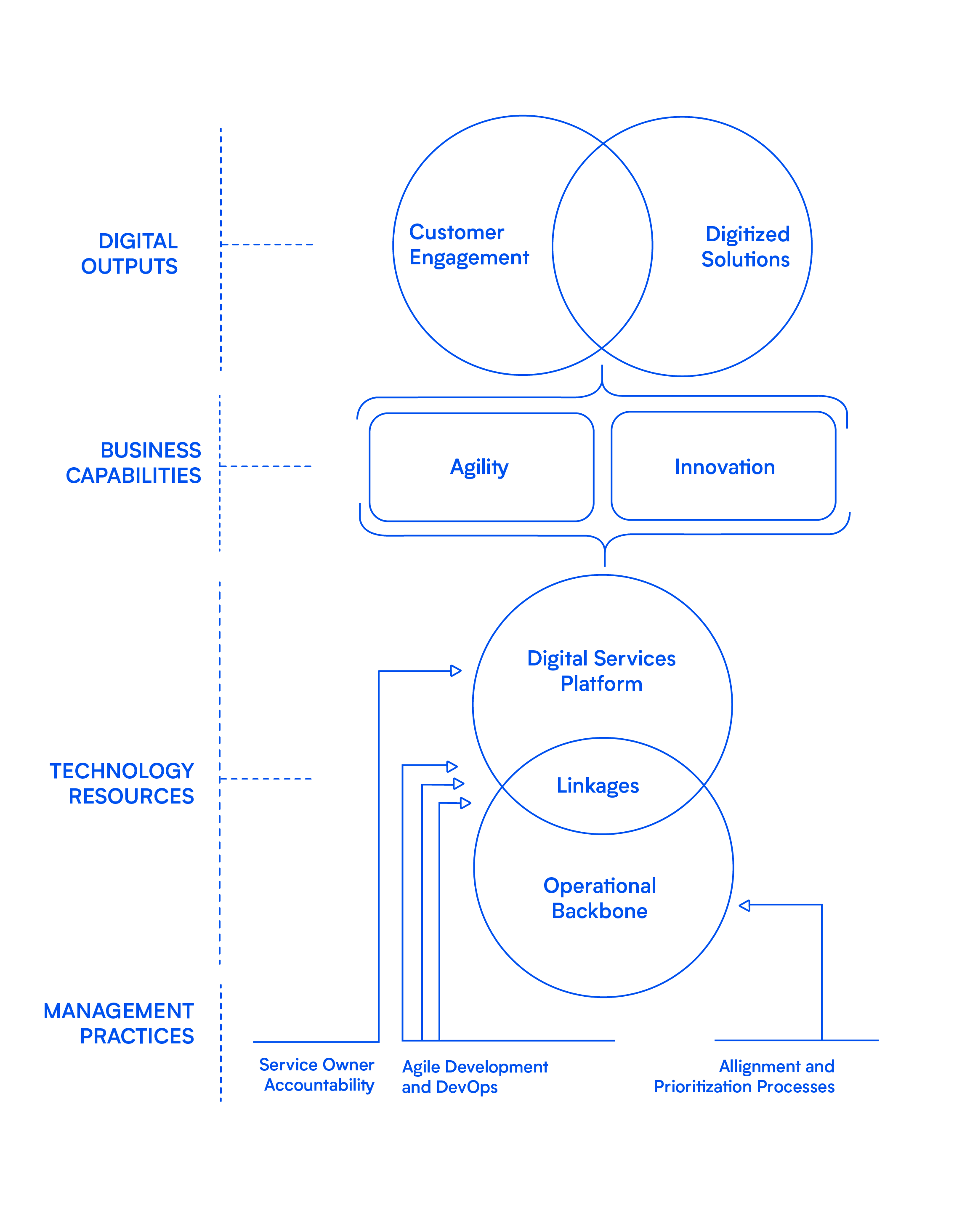 Neosperience diagramma